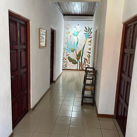 Hotel Villa Margarita Flores Ngoại thất bức ảnh